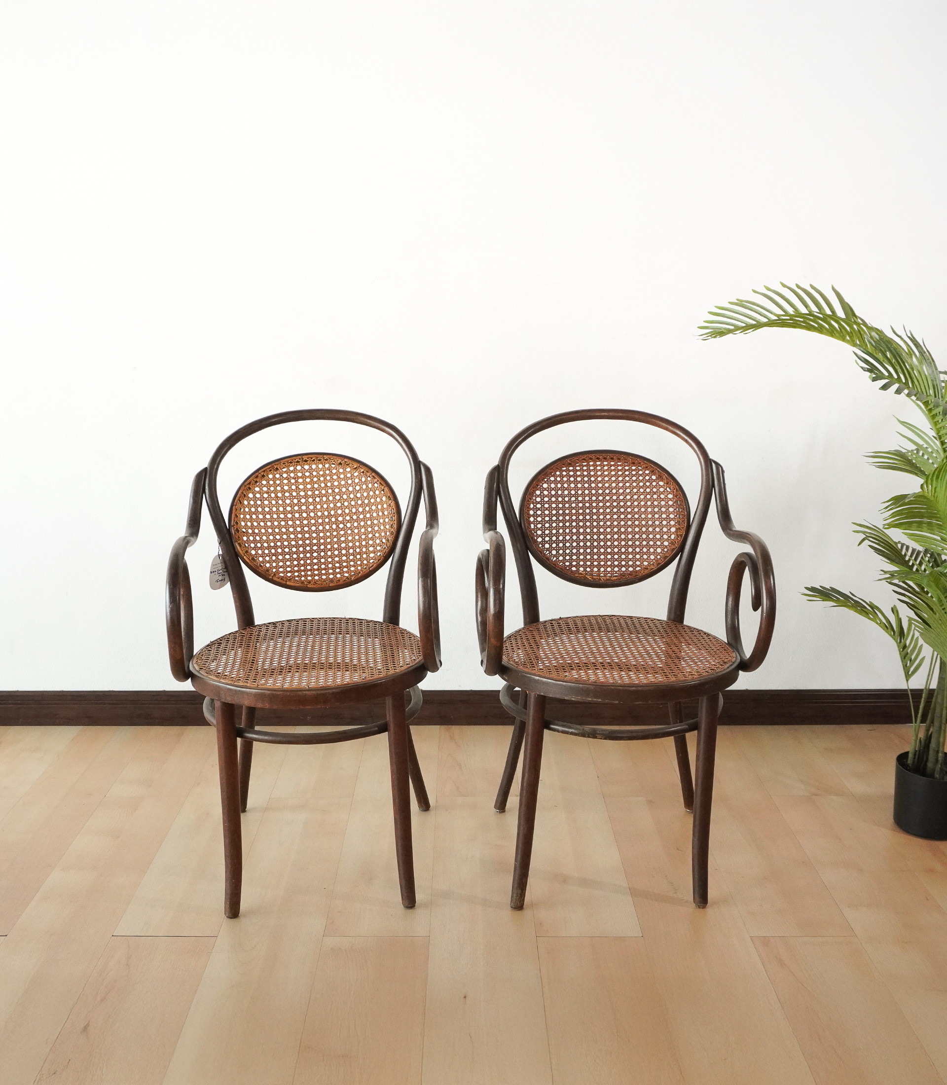 🪑 Antique Bentwood Armchair by Gebrüder Thonet, 1970s - Image 3