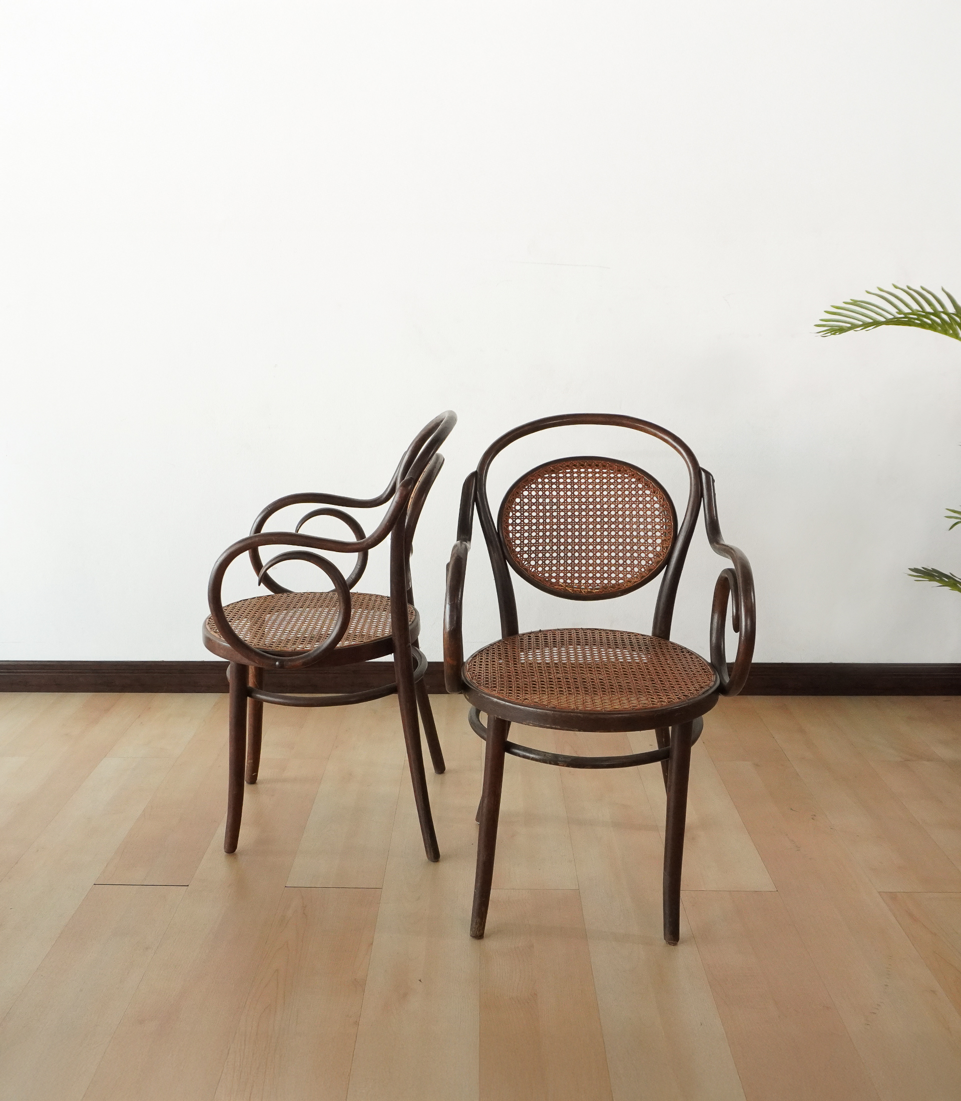 🪑 Antique Bentwood Armchair by Gebrüder Thonet, 1970s - Image 4