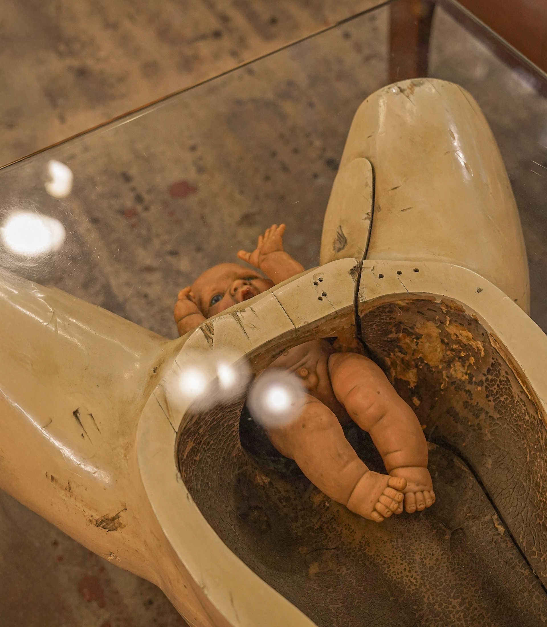 Clay Adams Vintage Medical Model Coffee Table - Image 6