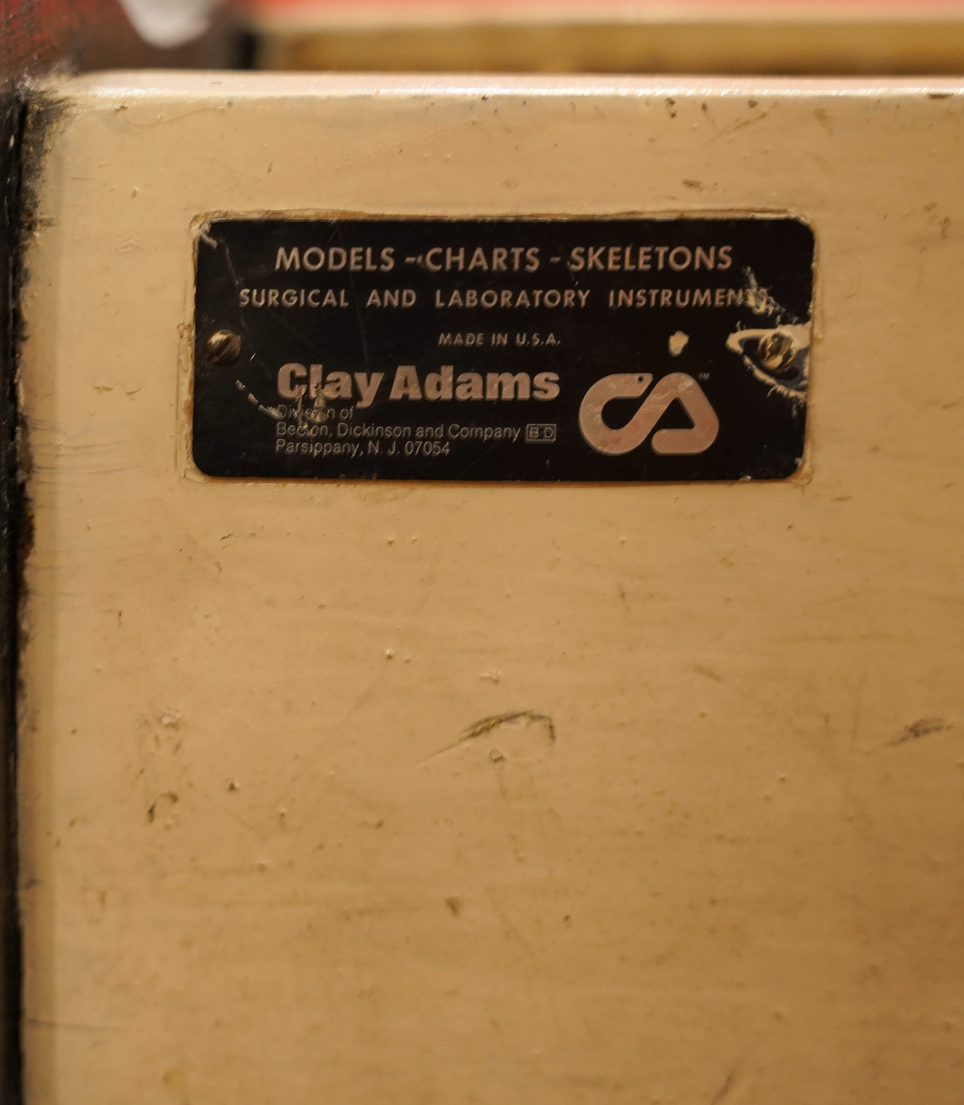Clay Adams Vintage Medical Model Coffee Table - Image 7