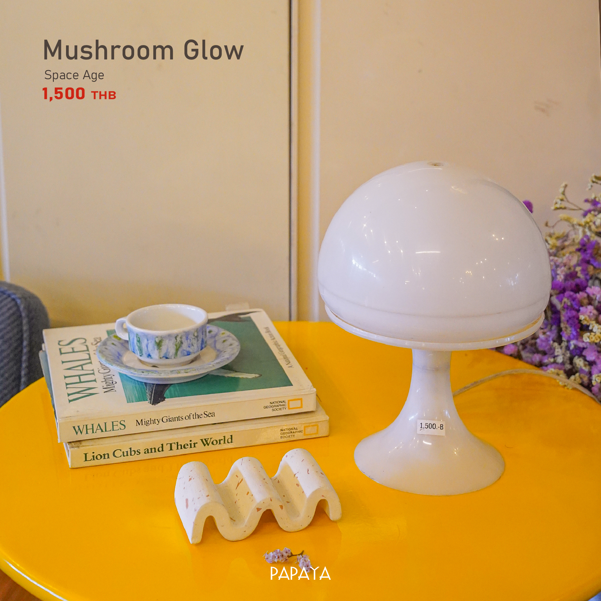 Mushroom Glow, Space Age